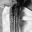 제일2차동물메디컬센터 이미지