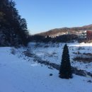 와이글램핑 이미지