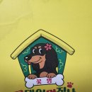 꽃댕이 멍집사 이미지
