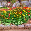 명화경로당 이미지