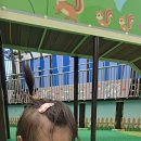 직구신난다