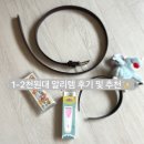 1-2천원대 알리템 쇼핑 후기(스티커, 벨트, 고데기 뷰러, 라따뚜이 머리띠)