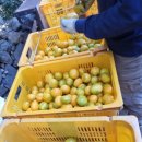 고림농장 이미지