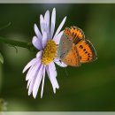 요산요수 이미지