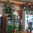 경북식육식당 이미지