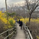 응봉개나리어린이공원 이미지