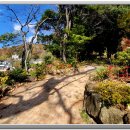 화가의정원 이미지