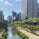 가로수자산관리