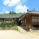 쑥밭1천 | 존경받는 명문가들의 특별한 내력