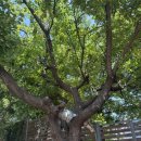 기능세차장 이미지