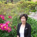 화려한외출투 이미지