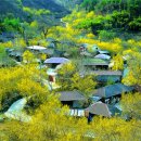 산촌