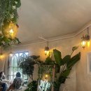 파파브런치 이미지