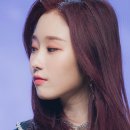 포토시그니처