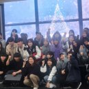 비바라비다