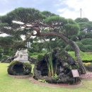 수목원파크 이미지