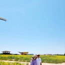 하늘6(유채밭) 이미지