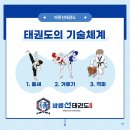 바른선태권도 이미지