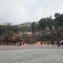 숲속에매점