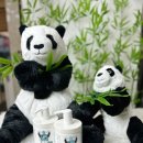 몽프리제 이미지