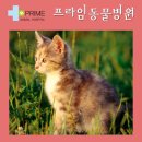 구리동물병원 이미지