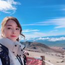 천신여행사