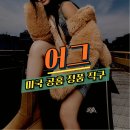 UGG 어그 직구 방법 미국 공홈 정품으로 득템하기