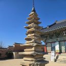 양양 낙산사 칠층석탑 | 양양 낙산사 칠층석탑