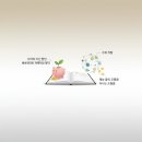 【재능기부강의】 ★나만의 반려식물 키우기★ | 나의 재능으로 돈 벌기? 재능 공유 플랫폼 활용법