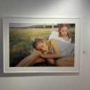 콜린스 | [ 종로 대림미술관 ] 서울 2월 무료 전시 추천 :: 페트라 콜린스 : fangirl 후기