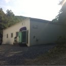 oh my dog(오마이독) 이미지