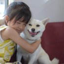 루 이미지