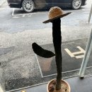 원영 행정사 사무소 이미지