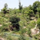 정심초등학교 이미지