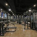 스타휘트니스 이미지