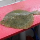 와우족발통닭 이미지