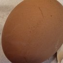 브라운도트 경주터미널점 이미지