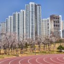 동탄 여울공원 농구장 이미지