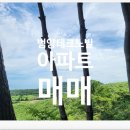 회천2동사무소 이미지