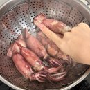 별에별아이스크림 - 수성구 교학로 52 | 대박 3월 이미 끝남 ㅎㅎㅎㅎ