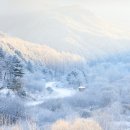 중앙로 17 이미지