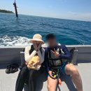 중부-현장-중부-511 | 오키나와 스노쿨링 투어 포인트 민나섬 가는법 샤워 준비물