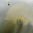 WATERSCAPE 이미지