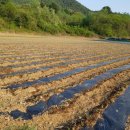 아호동농장 이미지