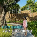 알로뷰안경 센텀점 | 2월 나트랑 태교여행 내돈내산 준비물 리스트 (수영복, 원피스, 기내꿀템)