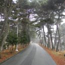 () 새만금과 서해바다를 품은 고즈넉한 서해 바닷가...