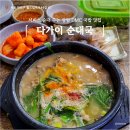 이순대 | 서비스 순대 주는 상암국밥 다가이순대국ㅣ생방송투데이 tv속맛집후기 내돈내산 리뷰