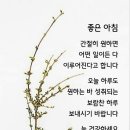 반갑습니다 이미지