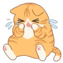 오너프로.조선광택 이미지