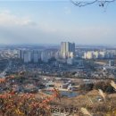 한국원예문화진흥원 이미지